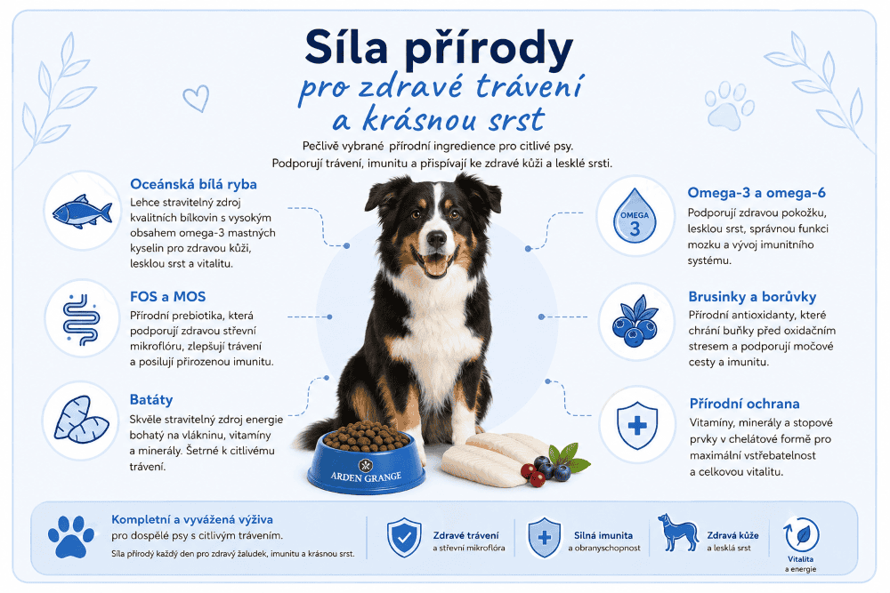Síla přírody pro správné trávení